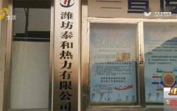 淄博泰和热力是私营企业吗？淄博2017年最冷是多少度