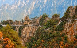 临安大明山植被？大明山最冷多少度