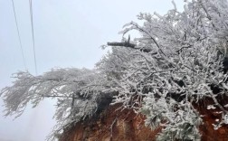 清远连州下雪了吗？连州市温度是多少