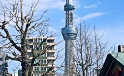 急~~~日本京都四季气候怎么样？东京最冷温度多少度