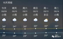 不是预报是晴天吗，怎么下起雪了。洛宁今天几点下的雪？今天多少度洛宁洛宁