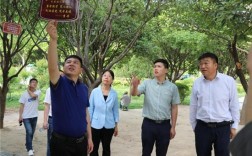太康县有多少个乡镇？太康马头镇古代有多少官员