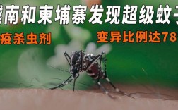 柬埔寨蚊子到底有多可怕？柬埔寨温度是多少钱