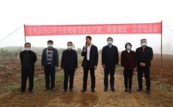 龙州李光鹏判多少年？崇左龙州下冻有多少人口