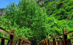 8月中旬适合哪里旅游？青峰峡明天温度多少