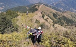 8月爬山最佳地方？今天信宜的温度是多少