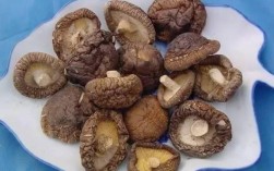 香菇怎么变干最快？福州的天气预热多少度