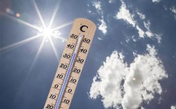 今年最热的地方最高温度多少度？今年最高气温多少