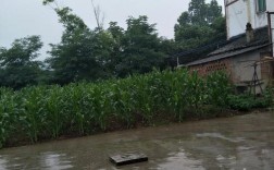 想找个环境好的小县城定居，谁能推荐一个？岳池最近10年天气最冷多少度