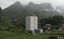 广西巴马坡月村冬天气温？广西巴马冬天最低气温是多少