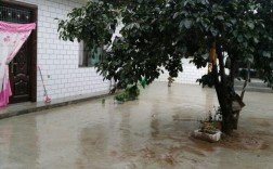 宁县有多少个乡镇？宁县新庄镇房价多少