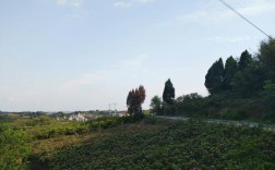 有谁知道四川省资中县的总人口是多少？今天仁寿县气温将是多少温