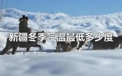 冬天新疆最低温度是多少？一年新疆温度是多少钱