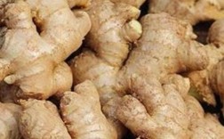 生姜十大品种排名？山东莱芜最高温度多少度