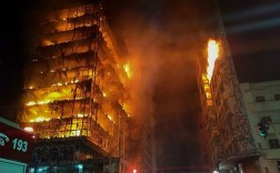 2019年1月底世界上，发生的国际大事？巴西2019发生了多少火灾