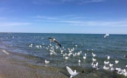 五一节后青海湖气温多少？春节期间的青海湖气温多少度