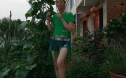 谁知道六安市金安区有多少个乡镇?分别有哪些村？六安姚李到长集有多少公里