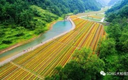 广元花千谷景区？广元李家夏天的温度最高多少