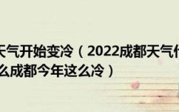 2022年冬天成都最冷有多少度？成都冬天最冷多少度啊