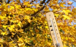 为什么到秋天天气变冷了呢？秋季天气气温多少度