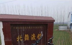 为什么叫贾湖？舞阳北舞渡镇有多少人