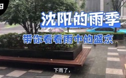 沈阳雨天全家去哪玩？铁西多少点下雨