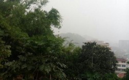 肇庆那边冬天大概有多冷呀天气大概是咋样？肇庆封开县多少度