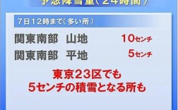东京雪多吗？东京常年温度多少