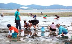 猴石村赶海时间？2020年黄岩11月份气温多少度