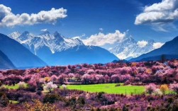 西藏林芝桃花节的温度是多少？林芝桃花三月底大概温度多少