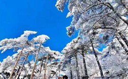 8月份黄山夜里多冷？黄山现在温度是多少时间