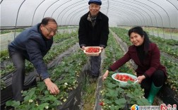 隆回有什么好吃的？隆回到雨山铺镇多少钱