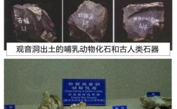 贵州的新石器时代遗址主要有？黔西县到沙井乡多少钱