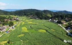 三江靠近贵州哪里？锦屏县偶里乡邮政多少