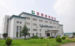 蚌埠丰源集团有多少子公司？安徽丰原氨基酸多少钱