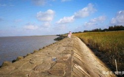 崇明岛海水怎样？崇明岛现在温度多少钱