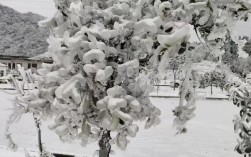 历史上八月下雪的记载？云南2017年降雪多少米