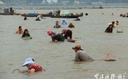 宁海薛岙码头赶海时间？北仑历史最低温度是多少