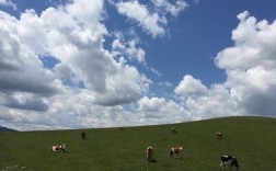 锡林郭勒几月份去最好？锡林郭勒大草原的气温是多少