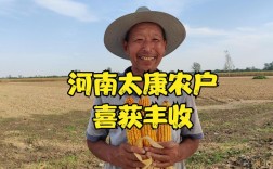太康县是省直管县吗？周口太康县的玉米价格能达到多少度