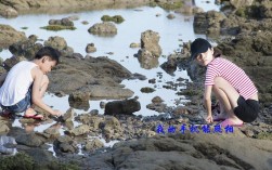 宝安哪里可以赶海？宝安区明天多少度天气预报