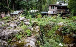 想在黑龙江一带找一处山野山林过隐居生活，有合适的地方吗？黑龙江省海林市供热标准温度是多少