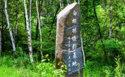 八五四农场属于哪个市？八五四农场到虎林多少公里
