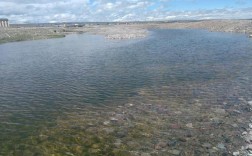 青海湖观鱼地点？刚察到泉吉乡多少公里