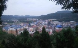 川东北的南充市哪个镇最好最出名？四川西充县仁和镇有多少人口