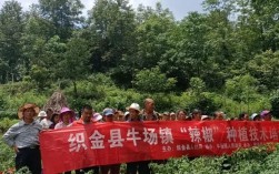 织金的美称？织金牛场镇的邮政编码是多少