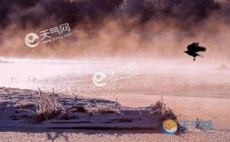 东北一月冷还是二月冷？1月2温度是多少