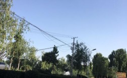武陟县介绍？焦作武陟今天多少度