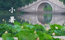 小暑到大暑多少天？大暑天气多少天