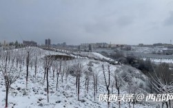 2020年陕西延安第一场雪是什么时候下的？定边最冷多少度